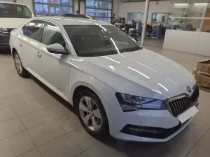 Skoda Superb 2.0 TDI 4x4 Ambition | MEM | StzHz | PDC Bild 3