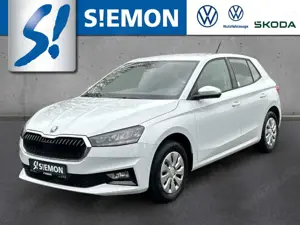 Skoda Fabia 1.0 TSI SELECTION LED Temp PDC SHZ Klima