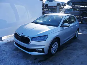 Skoda Fabia Selection 1.0 TSI*LED*PDC-HI*SMARTLINK*SHZ*BLUE...