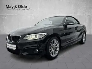 BMW 228 i Sportpaket Navi Leder Bi-Xenon Mehrzonenklima 2-