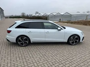 Audi A4 Avant 40 TDI quattro S line  Matrix RS-Sitze Bild 3