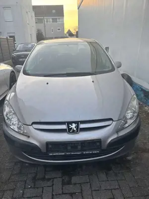 Peugeot 307 Grande Filou Cool