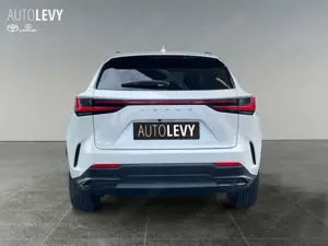 Lexus NX 450h+ Akustikglas Bel.Sitz HUD LED Bild 5