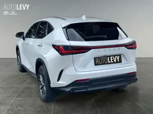 Lexus NX 450h+ Akustikglas Bel.Sitz HUD LED Bild 4