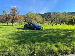 Ford Focus CC TÜV 04/27 | Motor klappert Bild 5