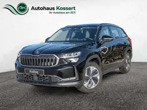 Skoda Kodiaq 1.5 TSI mHEV Selection NAVI ACC 360°