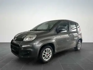 Fiat Panda 1.2 Lounge/ PDC H/KLIMA/RADIO/TÜV NEU