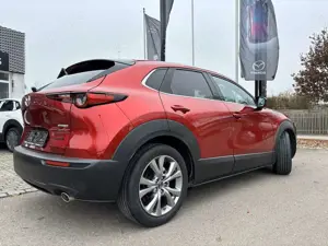 Mazda CX-30 SKYACTIV-G 122 M-Hybrid SELECTION i-Activsense Des Bild 4