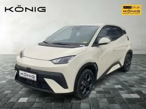 BYD Dolphin SURF Boost-LHD