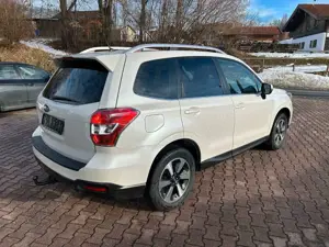 Subaru Forester 2.0D Exclusive, Motor Neu, AHK Bild 4