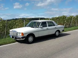 Mercedes-Benz Baureihe 123 Baureihe 123 230 E