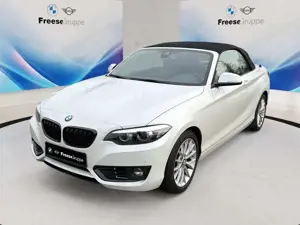 BMW 218 i Cabrio HIFI LENKRADHZ LED SHZ TEMPOMAT DAB