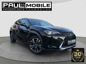 Lexus Others UX 250 h Navi ACC LED R-Cam PDC v+h