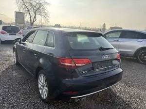 Audi A3 quattro design-KLIMATRONIK-LEDER Bild 5