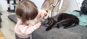 Blacky sucht liebevolles zu Hause 
