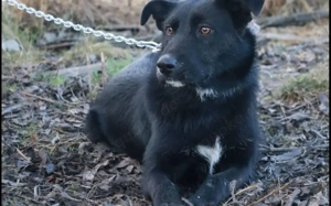 Lebensfreude pur: Mindy möchte ihre Zukunft mit dir teilen