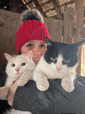 Bounty & Raffaelo Süßes Dreamteam sucht Knusperhäuschen