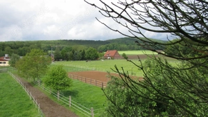 Offenstall Bewegungsstall mit Reitplatz 235 Euro Mon in Bad Iburg Bild 3
