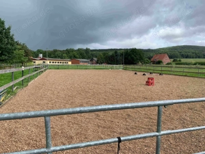 Offenstall Bewegungsstall mit Reitplatz 235 Euro Mon in Bad Iburg Bild 4