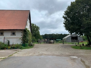 Offenstall Bewegungsstall mit Reitplatz 235 Euro Mon in Bad Iburg Bild 2