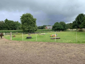 Offenstall Bewegungsstall mit Reitplatz 235 Euro Mon in Bad Iburg Bild 6