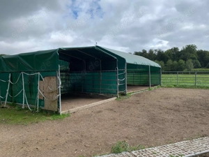 Offenstall Bewegungsstall mit Reitplatz 235 Euro Mon in Bad Iburg Bild 8