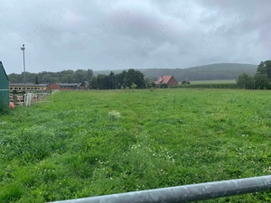 Offenstall Bewegungsstall mit Reitplatz 235 Euro Mon in Bad Iburg Bild 9