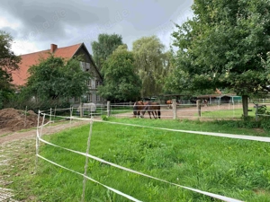 Offenstall Bewegungsstall mit Reitplatz 235 Euro Mon in Bad Iburg Bild 7