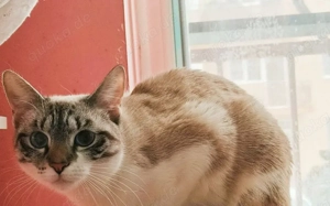 Belle sucht liebevolle Menschen