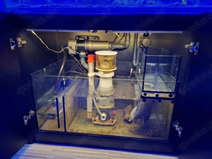 RedSea Reefer 525 xl Bild 2