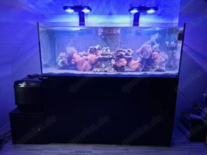 RedSea Reefer 525 xl Bild 3
