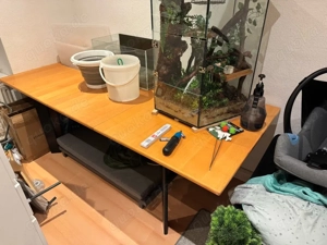 grosser ausziehbarer esstisch mit stühlen