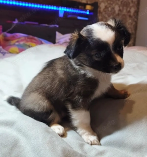    Letztes Mädchen verfügbar!   