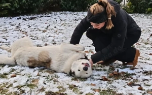 Frohnatur Atlas wartet auf dich! Bild 7