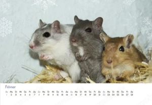Kalender 2026 Rennmäuse - letzte Exemplare! Bild 3