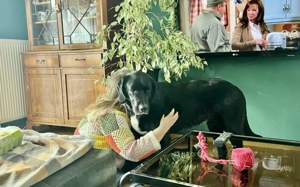 Jake Sully sucht seine eigene Familie 