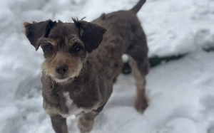 Freundliche Seele Nela möchte noch viel erleben