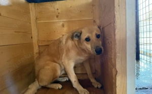 Wer schenkt Maria ein Leben in Freiheit? Bild 2