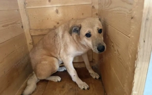 Wer schenkt Maria ein Leben in Freiheit? Bild 3