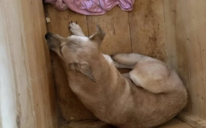 Wer schenkt Maria ein Leben in Freiheit? Bild 4