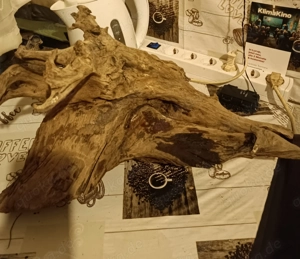 Grosse Wurzel für Terrarium 