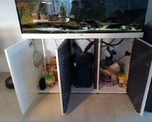 240L Juwel m. Moschusschildkröte  Bild 2
