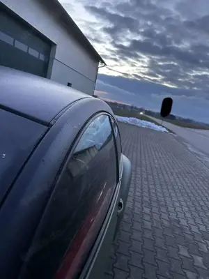 Volkswagen New Beetle 1.6 Automatik Eines der Letzten Modelle Aus 2005 Bild 5