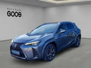 Lexus UX 250h F-Sport E-Four Sportpaket LED Dyn. Kurvenlicht ACC