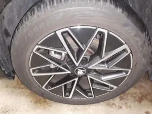 Skoda Octavia 4 IV Combi 2.0 TDI DSG Tour Stand/Matrix Bild 5