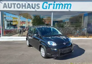 Fiat Panda Panda/Pandina 1.0 GSE Hybrid "Freispr., Klima" uvm