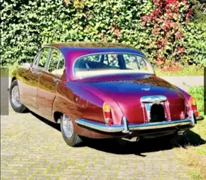 Jaguar Others Bild 4