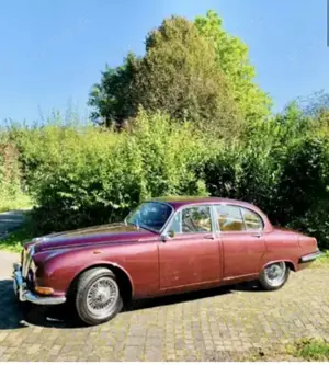 Jaguar Others Bild 2