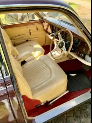 Jaguar Others Bild 3