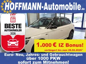 Skoda Kamiq Monte Carlo AHK,Climatr,Matrix-LED,Kamera